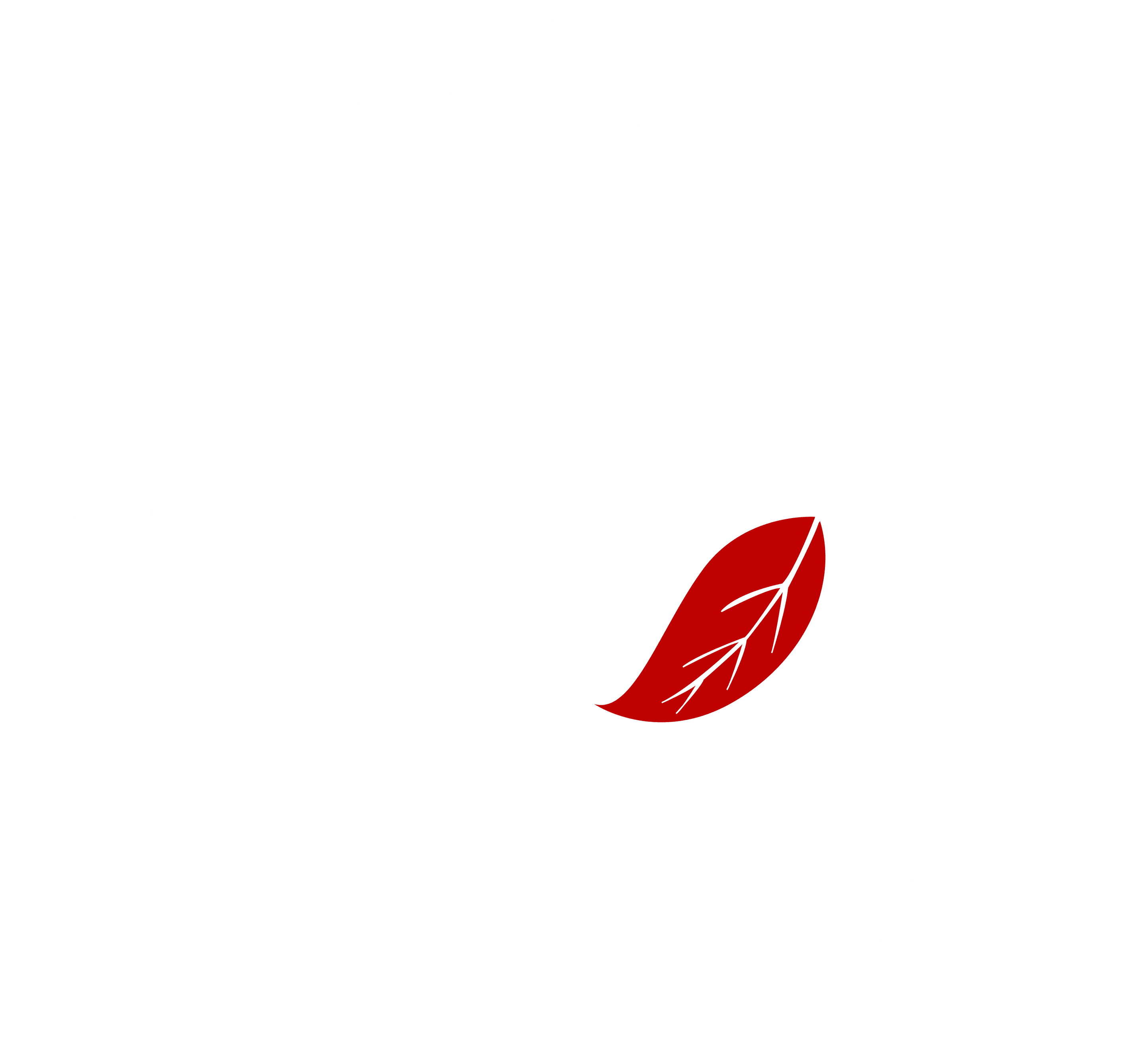 TentiL Artisan Muffins